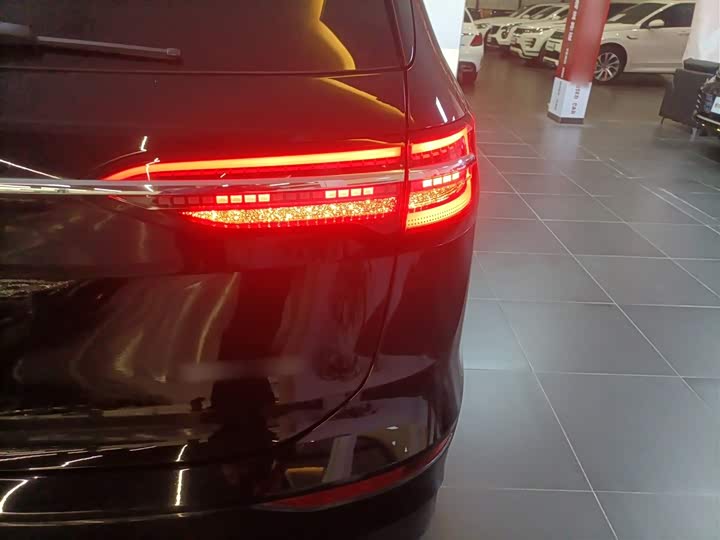 Фото 8 - Volkswagen Viloran