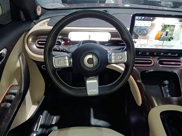 Фото 11 - Smart #1