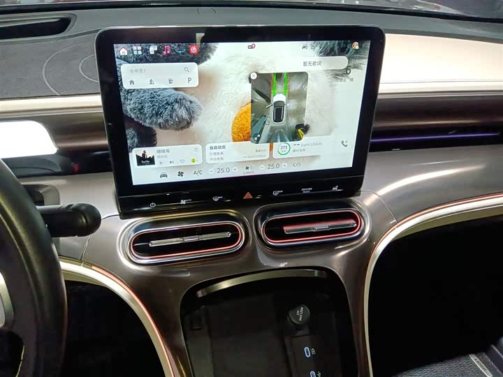 Фото 13 - Smart #1