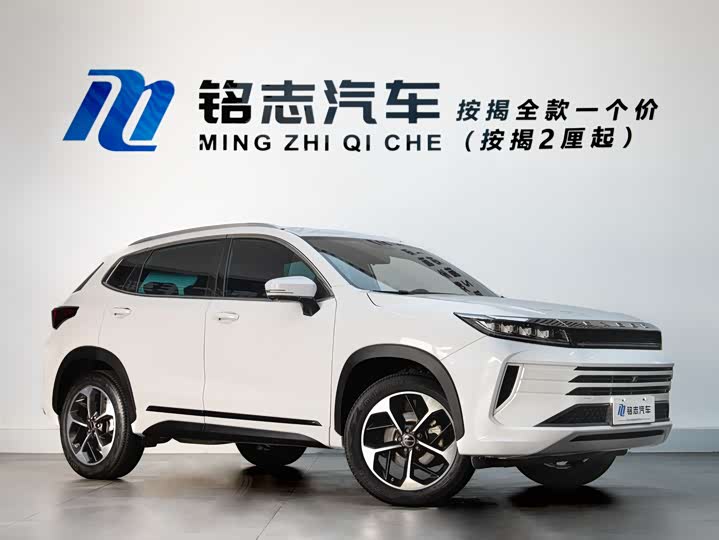 Фото 2 - Exeed LX