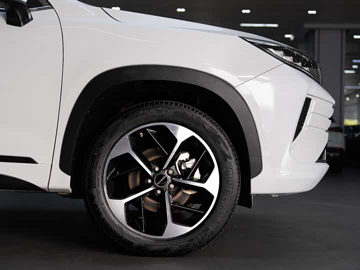 Фото 8 - Exeed LX