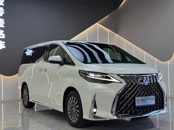 Фото 3 - Lexus LM