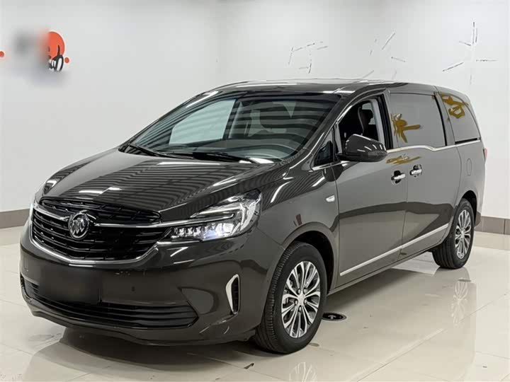 Фото 2 - Buick GL8 ES