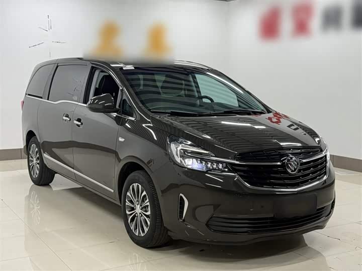 Фото 22 - Buick GL8 ES