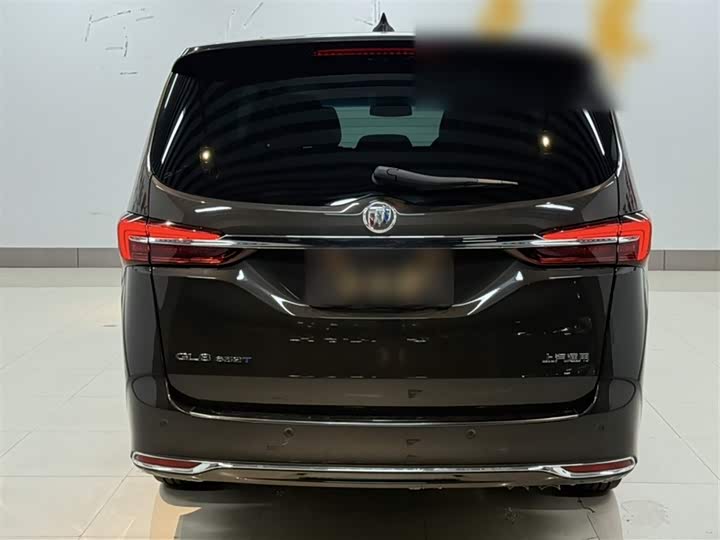 Фото 24 - Buick GL8 ES