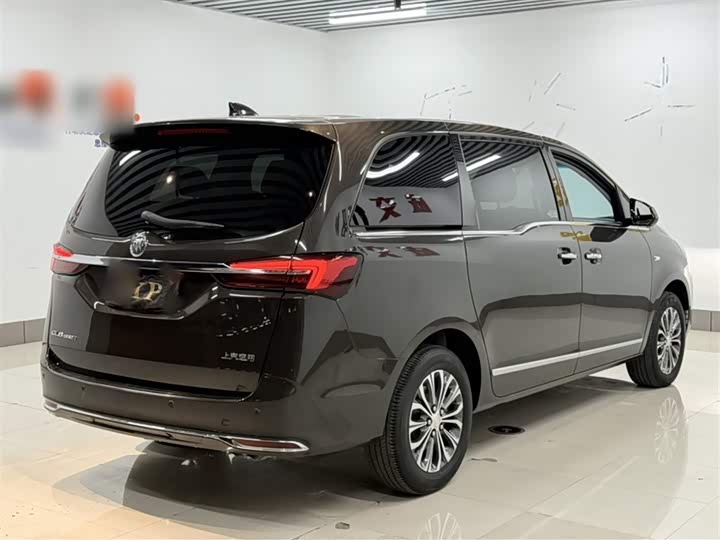 Фото 25 - Buick GL8 ES