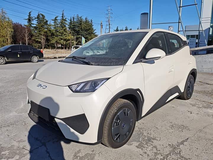 Фото 1 - BYD Seagull