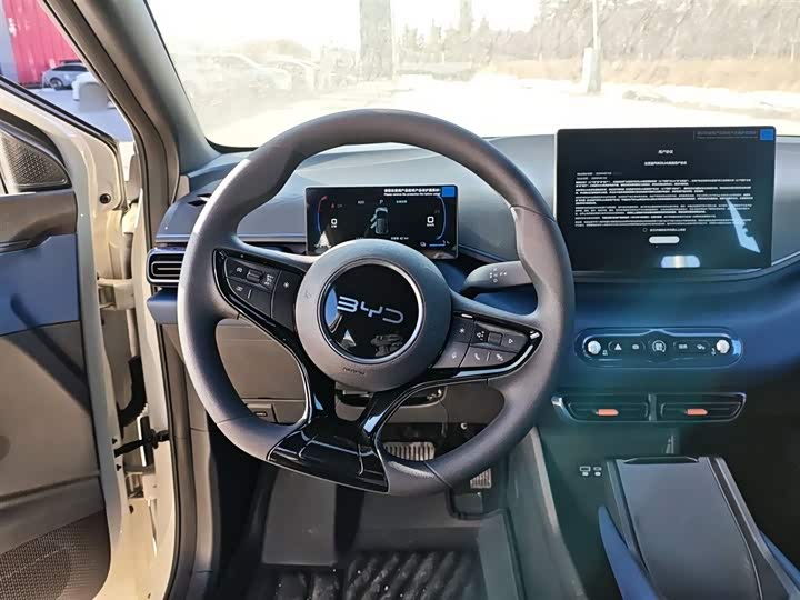 Фото 11 - BYD Seagull