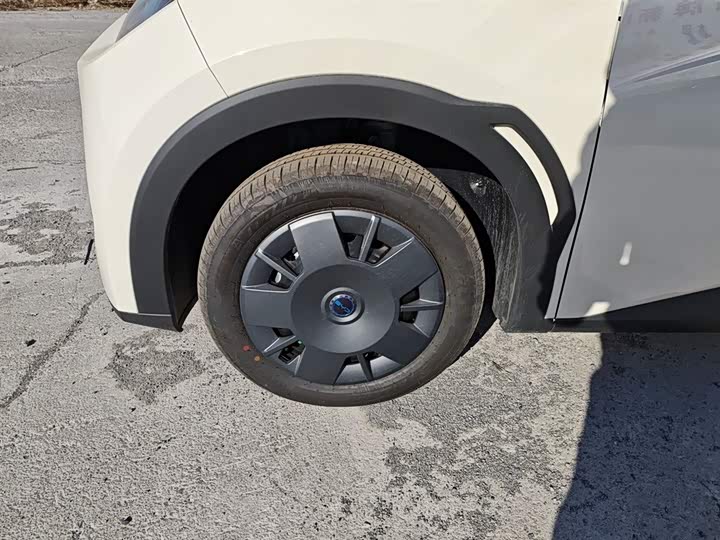 Фото 23 - BYD Seagull