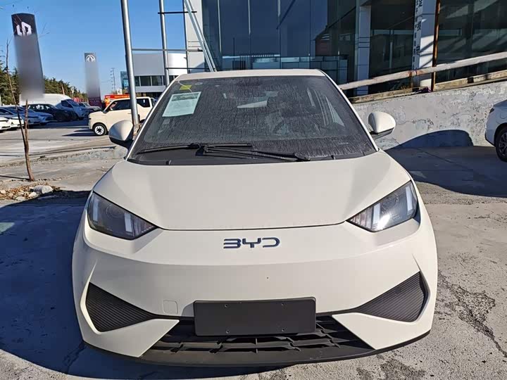 Фото 3 - BYD Seagull