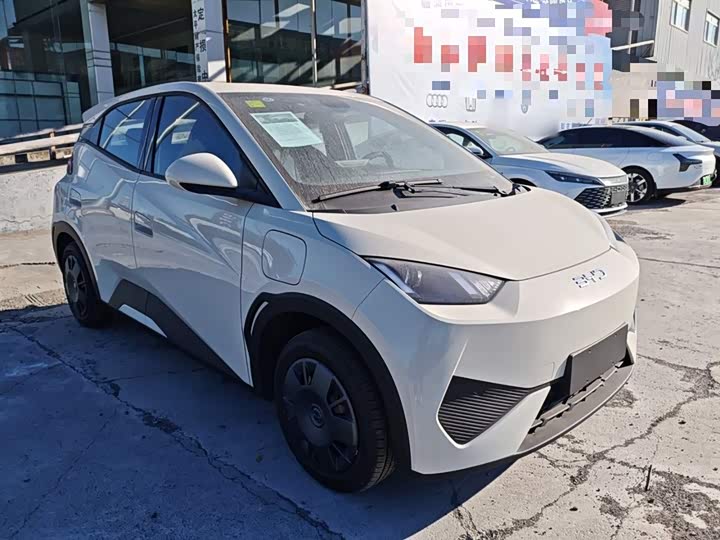 Фото 4 - BYD Seagull