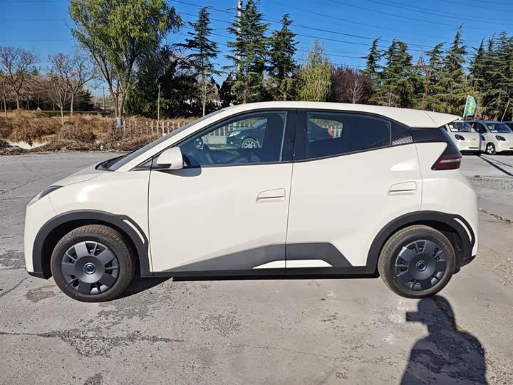 Фото 5 - BYD Seagull