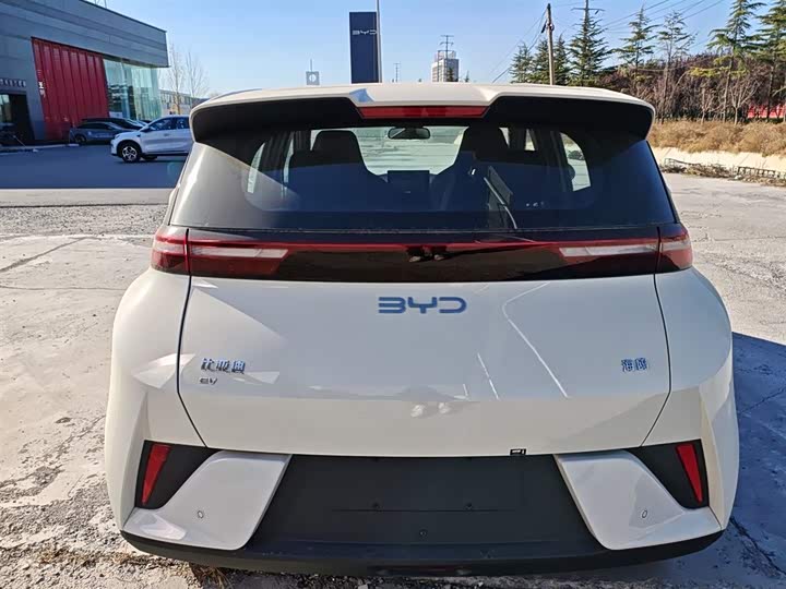 Фото 6 - BYD Seagull