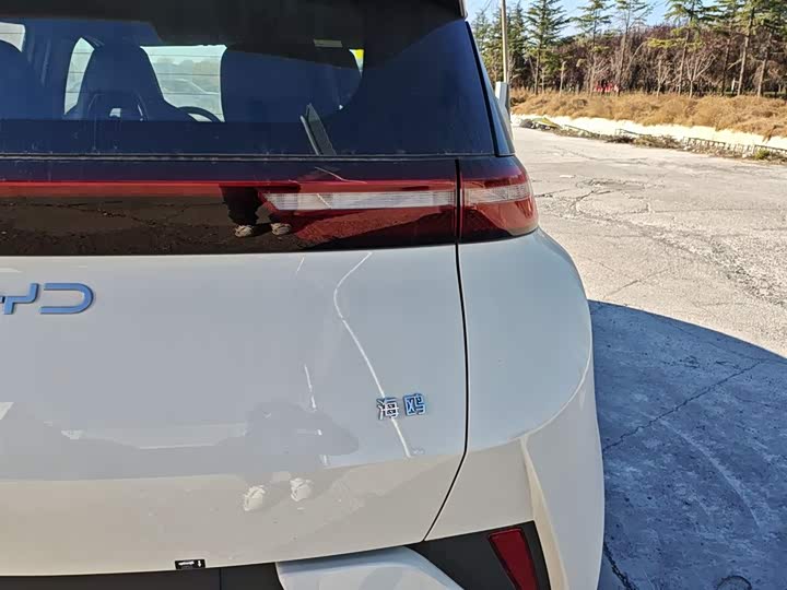 Фото 8 - BYD Seagull