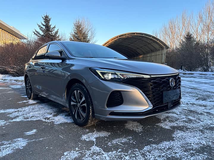 Фото 3 - Changan Eado Plus