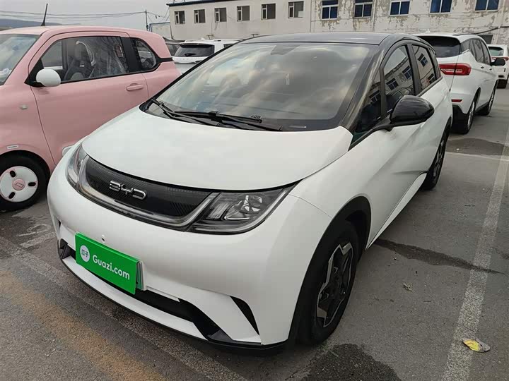 Фото 1 - BYD Dolphin