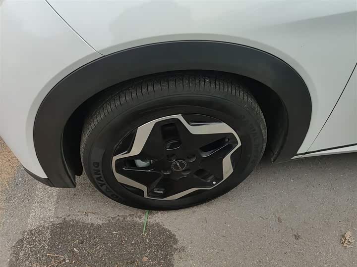 Фото 23 - BYD Dolphin