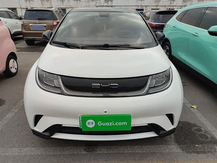 Фото 3 - BYD Dolphin