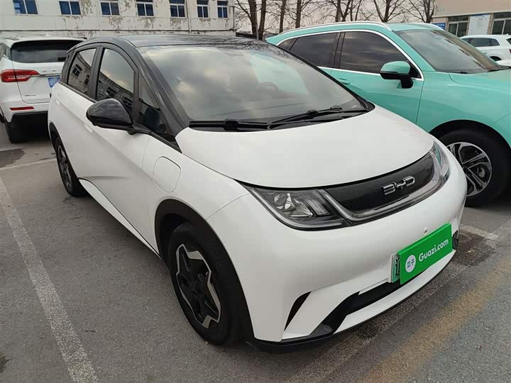 Фото 4 - BYD Dolphin