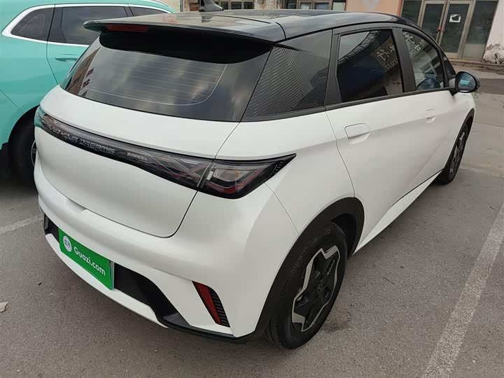 Фото 7 - BYD Dolphin