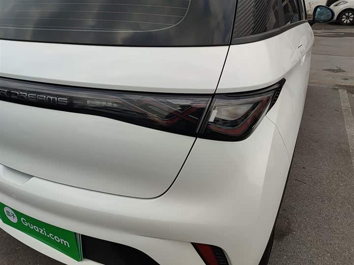 Фото 8 - BYD Dolphin