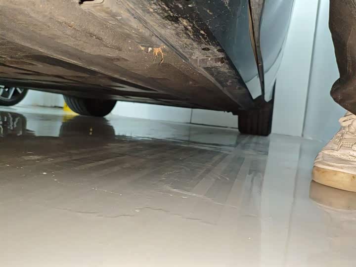 Фото 22 - BYD Song L