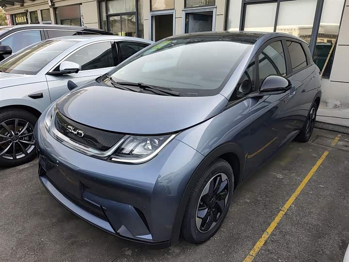 Фото 1 - BYD Dolphin