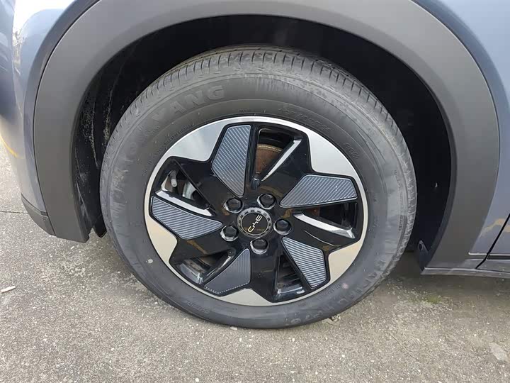 Фото 23 - BYD Dolphin