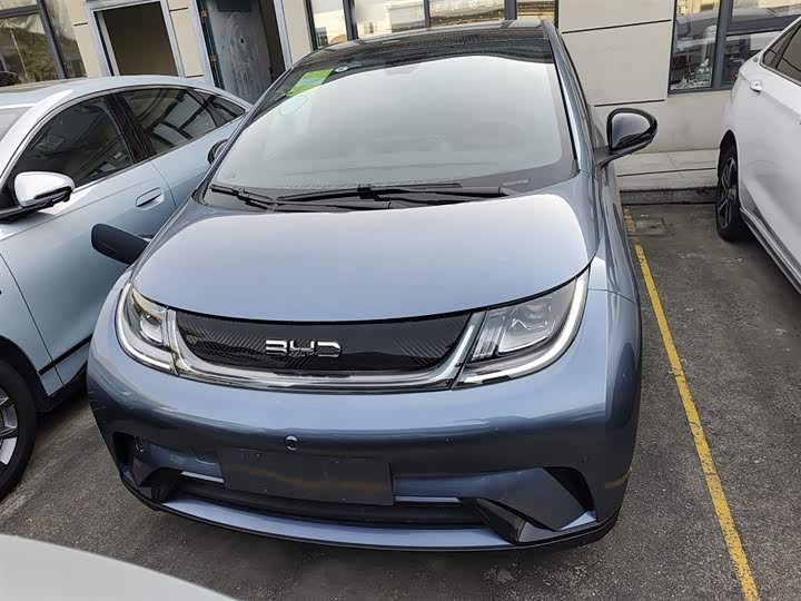 Фото 3 - BYD Dolphin