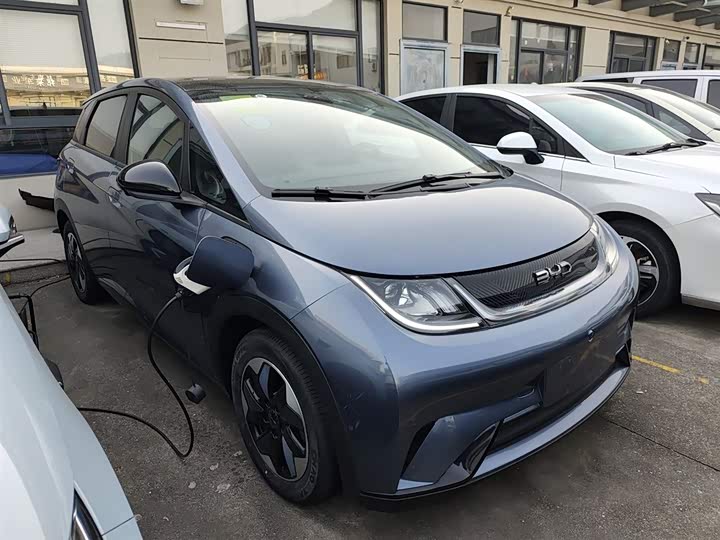 Фото 4 - BYD Dolphin