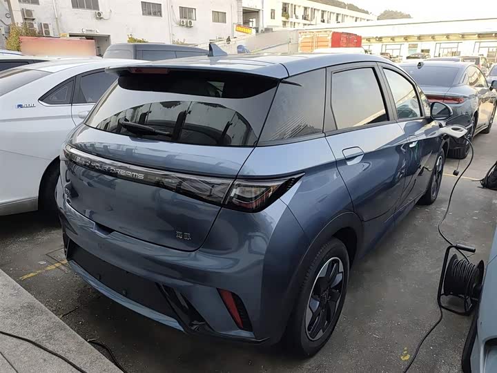 Фото 7 - BYD Dolphin