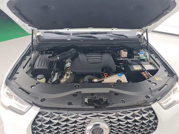 Фото 10 - Great Wall Pao