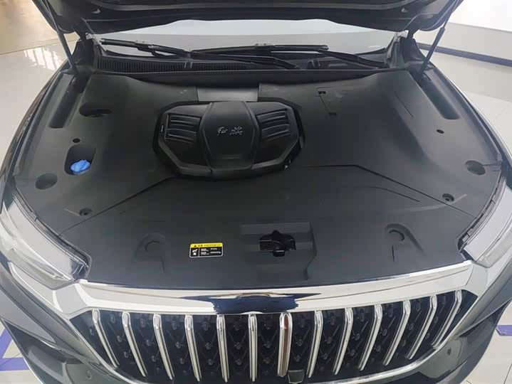 Фото 10 - Hongqi HS5