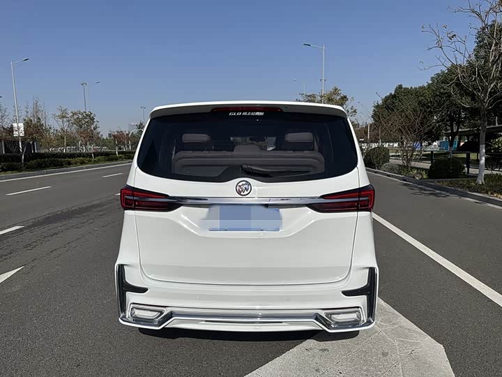 Фото 14 - Buick GL8 ES