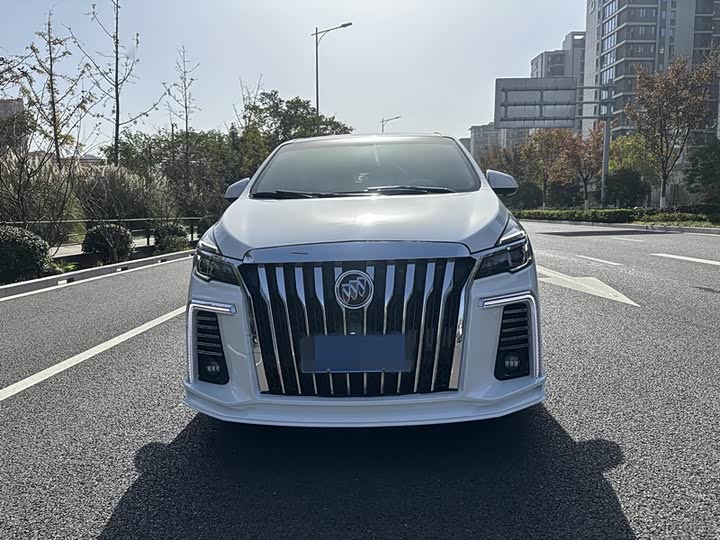 Фото 2 - Buick GL8 ES