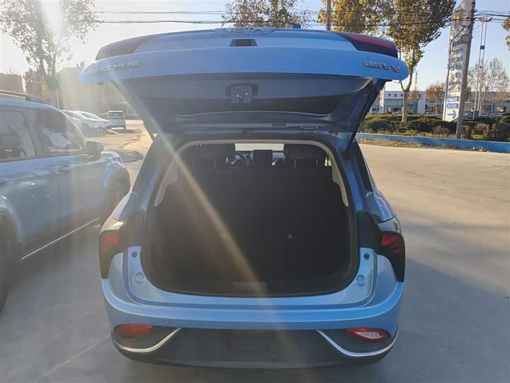 Фото 19 - Hozon V