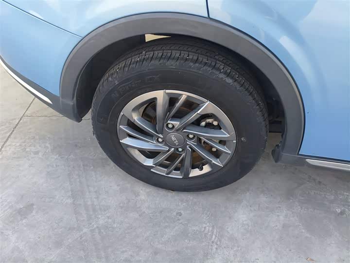 Фото 26 - Hozon V