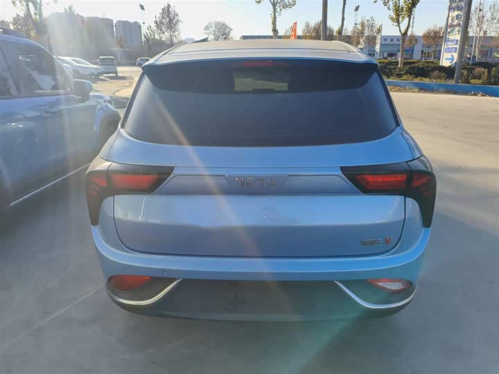 Фото 6 - Hozon V