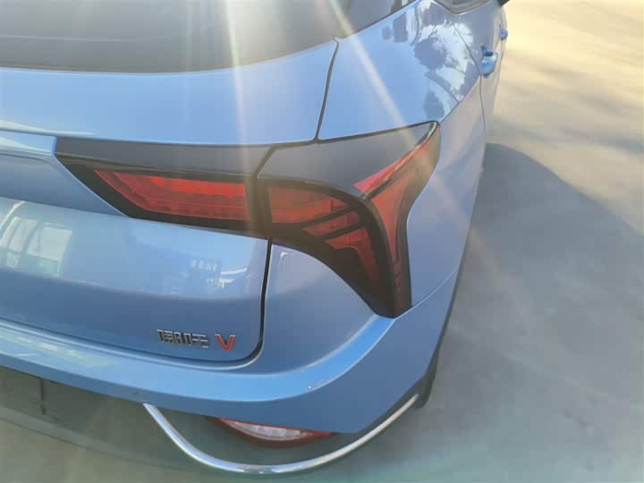 Фото 8 - Hozon V