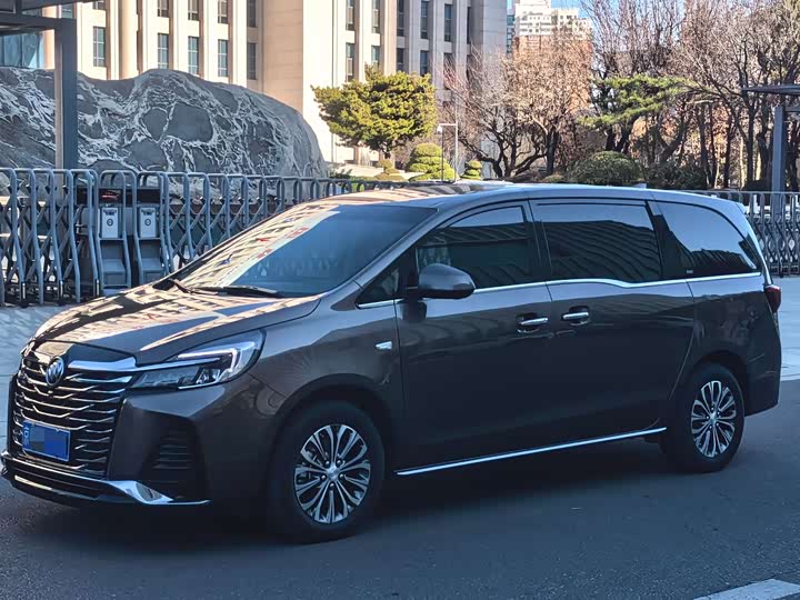 Фото 1 - Buick GL8 ES