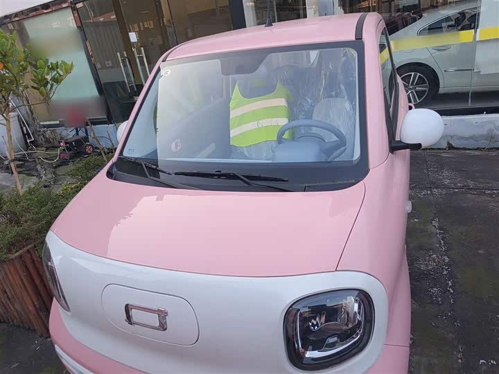 Фото 20 - Bestune Pony