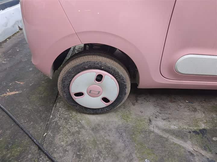 Фото 26 - Bestune Pony