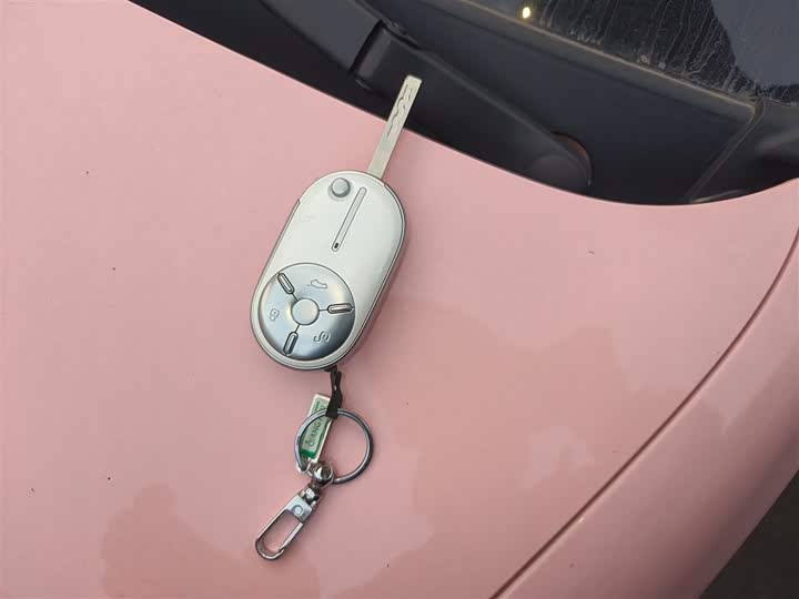 Фото 9 - Bestune Pony