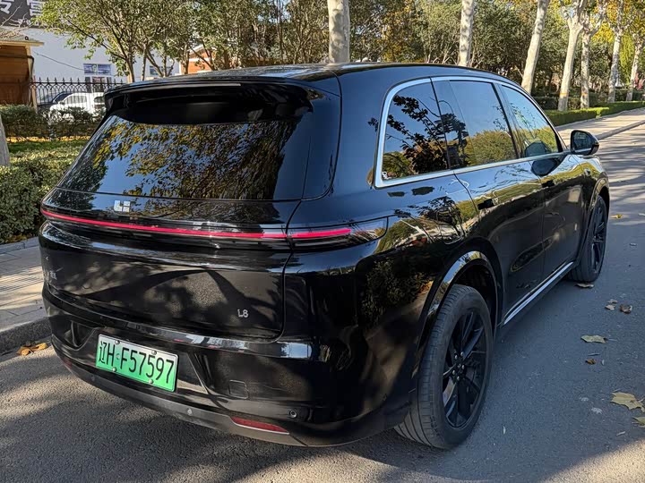 Фото 10 - LiXiang L8