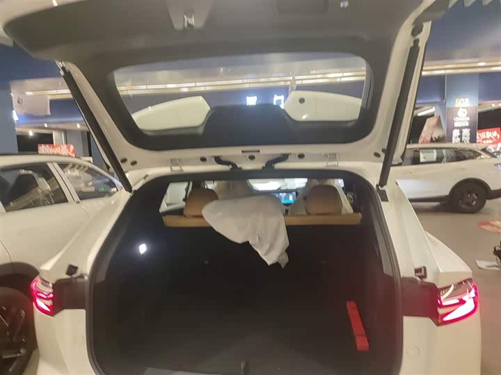 Фото 19 - Roewe RX5 Hybrid