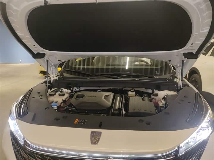 Фото 20 - Roewe RX5 Hybrid