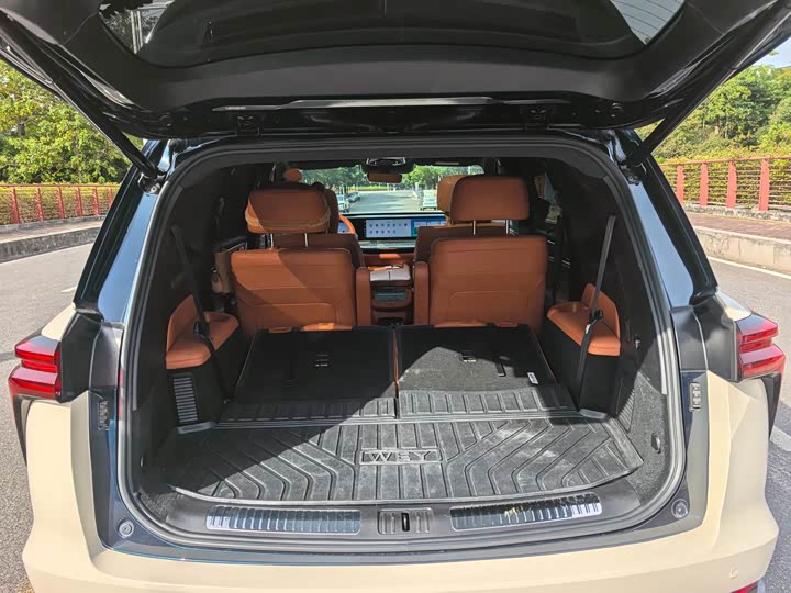 Фото 19 - Wey Lanshan