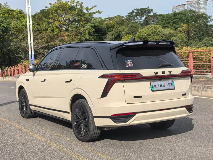 Фото 22 - Wey Lanshan