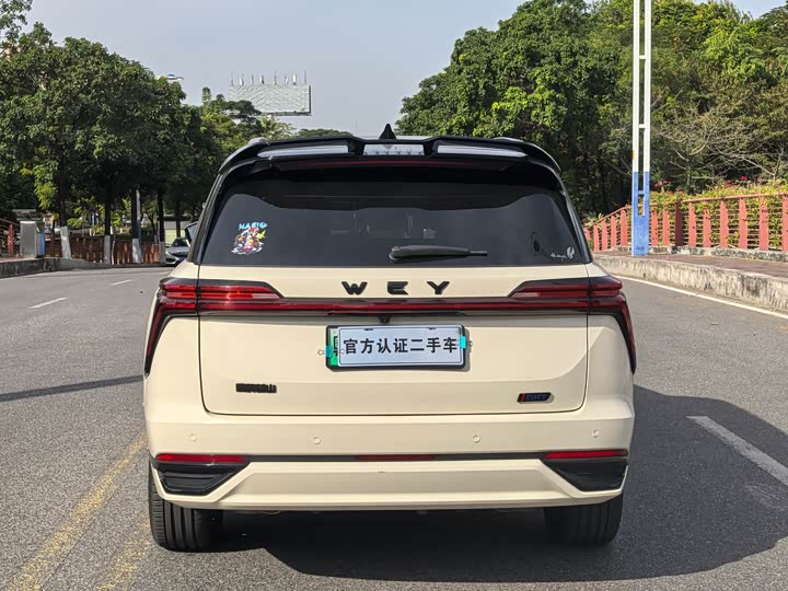 Фото 23 - Wey Lanshan