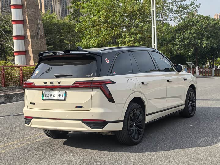 Фото 24 - Wey Lanshan